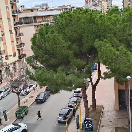 Casa Mia